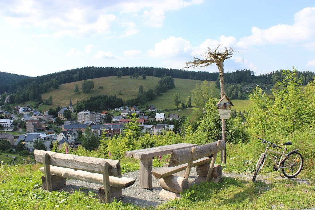 Landhotel Gasthof Zwota Klingenthal Exterior foto